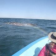 IMG 0001 2 (285)